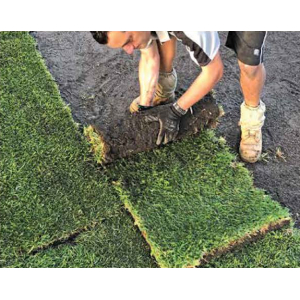Professional Turf Laying