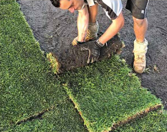 Professional Turf Laying