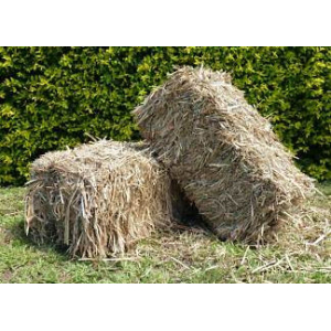 Sugar Cane Bales
