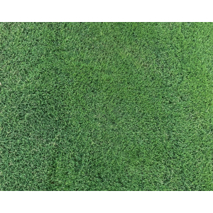 Ironcutter Elite Hybrid Bermudagrass