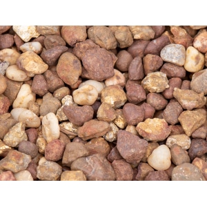 Tropical Bronze 20mm