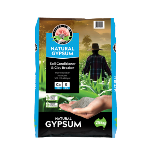 Gypsum 25kg