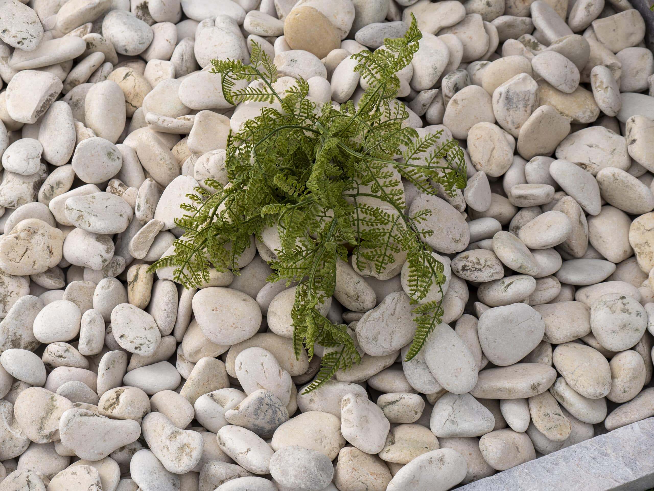 Ivory Pebble 30-50mm - Image 3