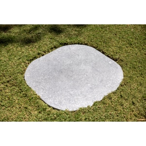 Limestone Raven - Stepping Stone 700-800 x 30mm